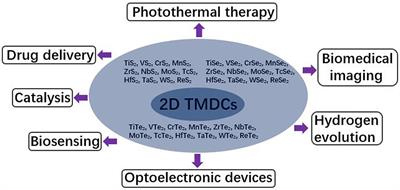 Two-Dimensional Transition Metal Dichalcogenides: Synthesis, Biomedical Applications and Biosafety Evaluation